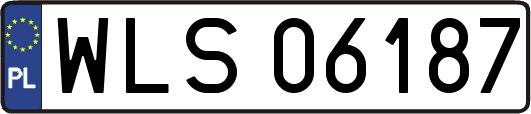 WLS06187