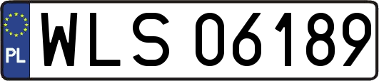WLS06189