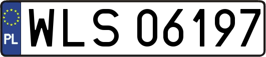 WLS06197