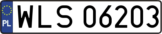 WLS06203