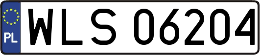 WLS06204