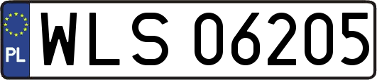 WLS06205