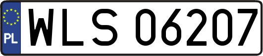 WLS06207