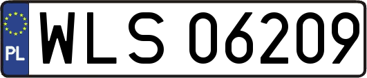 WLS06209