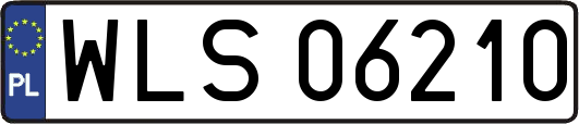 WLS06210