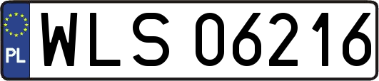 WLS06216