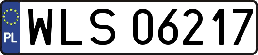 WLS06217