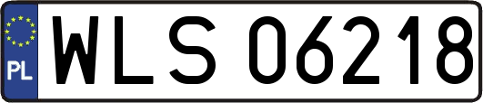 WLS06218