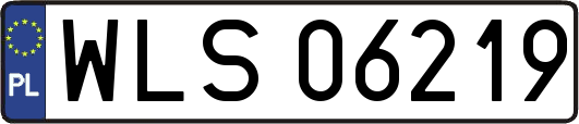 WLS06219