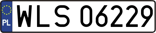 WLS06229