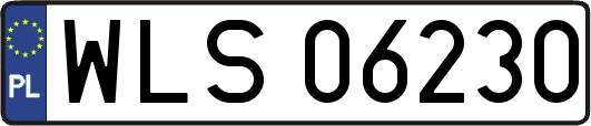 WLS06230