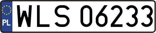 WLS06233