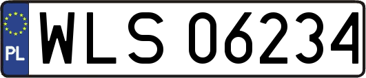 WLS06234