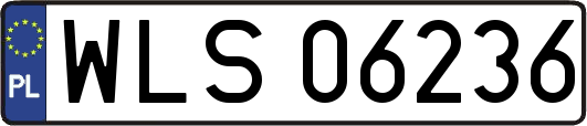 WLS06236