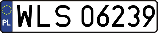 WLS06239