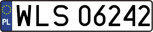 WLS06242
