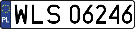 WLS06246