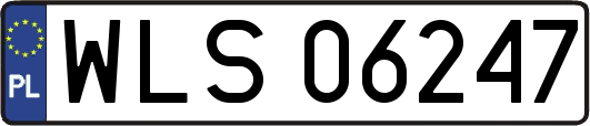 WLS06247