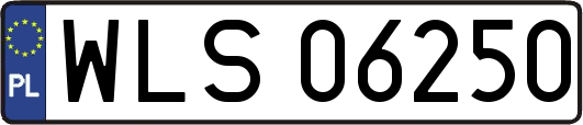 WLS06250