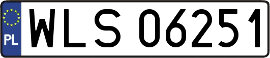 WLS06251