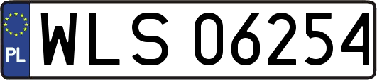 WLS06254