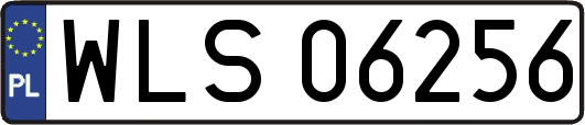 WLS06256
