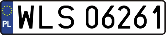 WLS06261