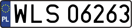 WLS06263