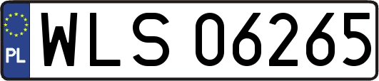 WLS06265