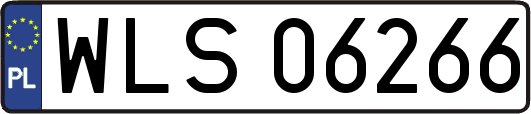 WLS06266