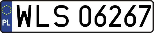 WLS06267