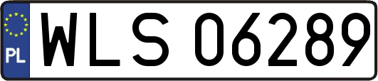 WLS06289