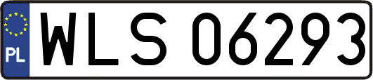 WLS06293