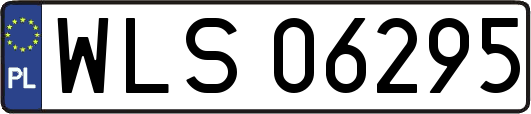 WLS06295