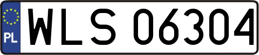 WLS06304