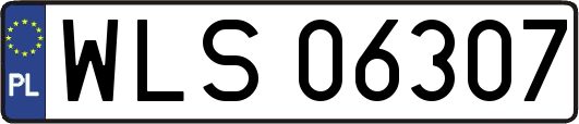 WLS06307
