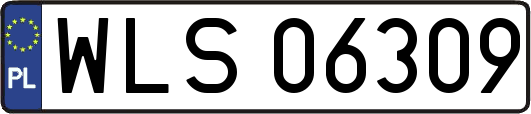 WLS06309