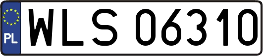 WLS06310