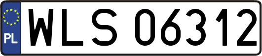 WLS06312