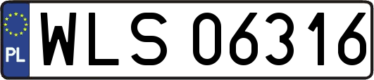 WLS06316