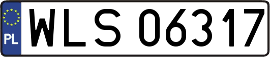 WLS06317