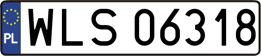 WLS06318