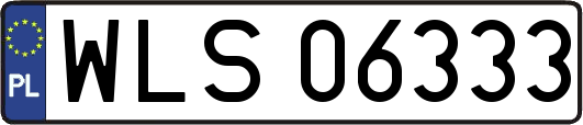 WLS06333