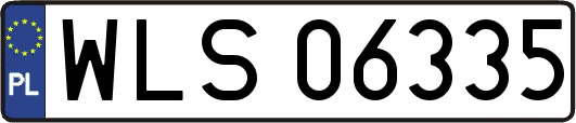 WLS06335