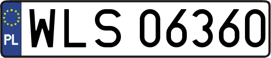 WLS06360