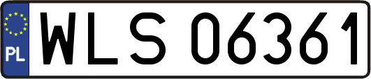 WLS06361