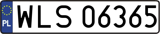 WLS06365