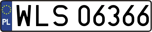 WLS06366