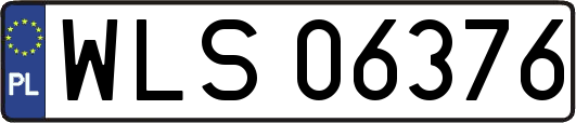 WLS06376
