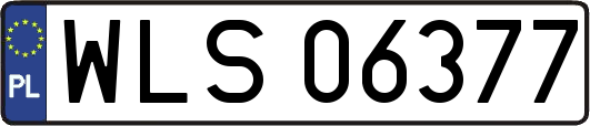 WLS06377
